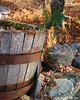 SmugMug > all-time keyword > barrel > 11.08.2009

An old wine barrel at the start of my uncle's driveway